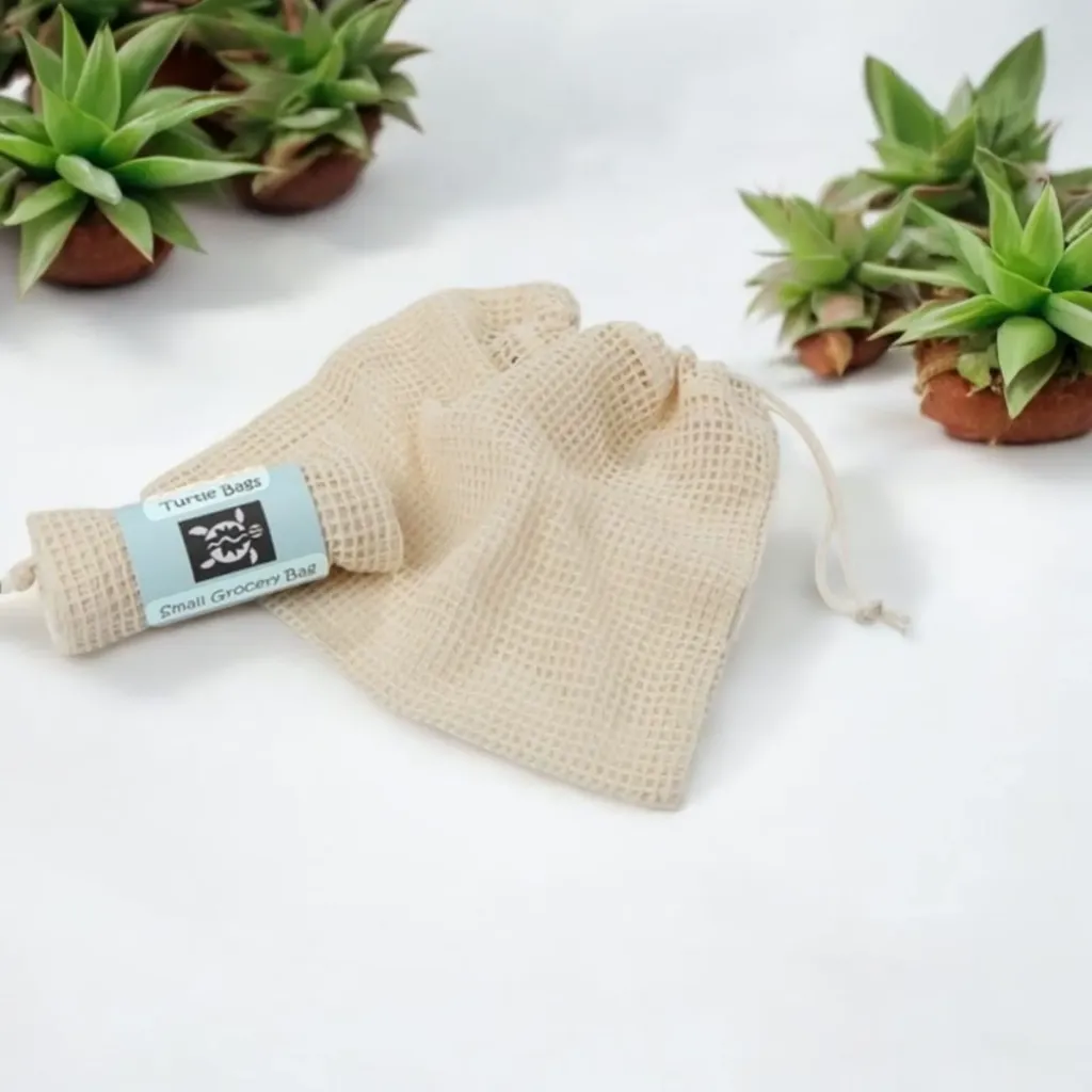 Small Turtle Grocery Bags